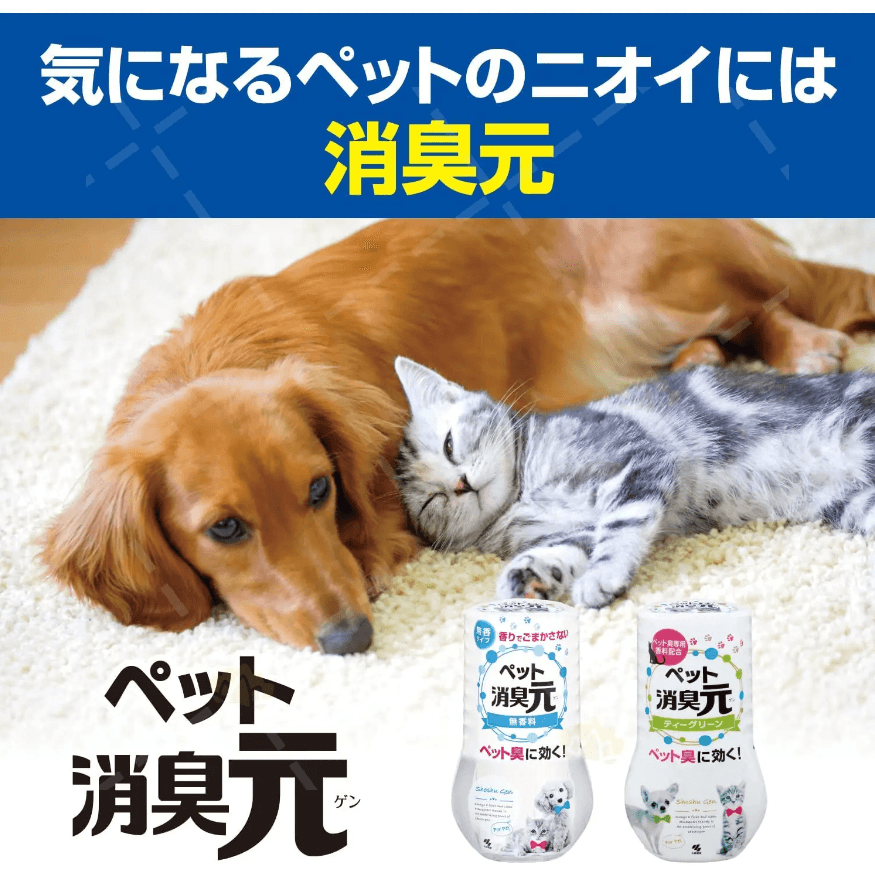 vn-11134207-7qukw-lhitx0d2wjpddf.png