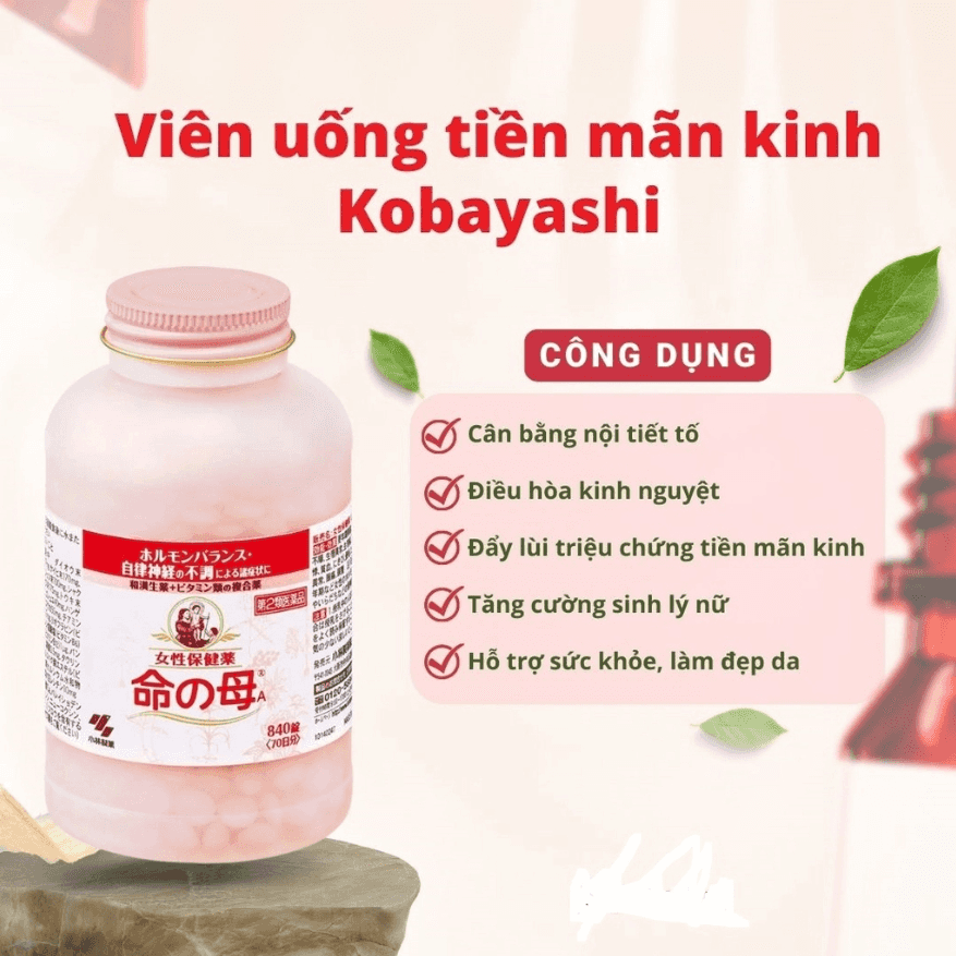 vn-11134207-7qukw-ljdzslr7nvtec8.png