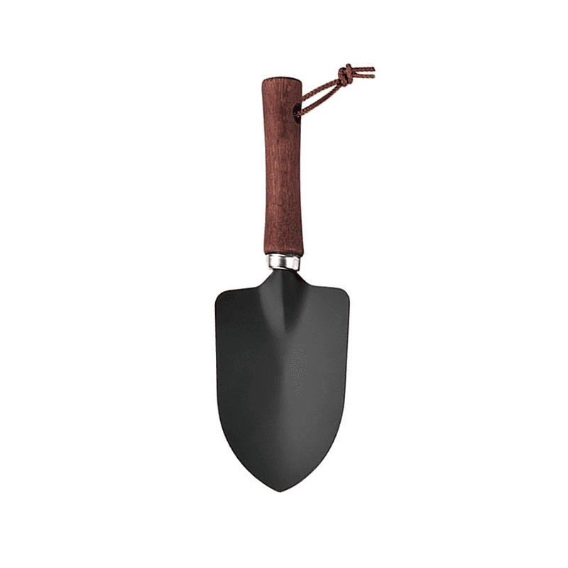 vn-11134207-7r98o-lmjtmby52nz3ee.png