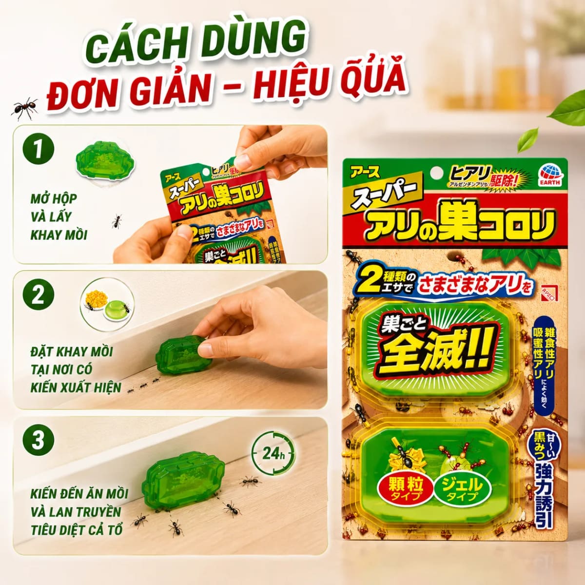dc45ea6c-87c2-4ee2-b3f9-2f4b87ce32fc.webp