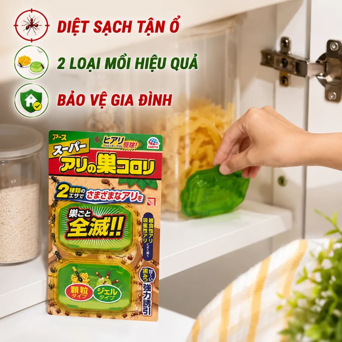 06ef093d-5295-45ea-9f6c-15e210634901.webp